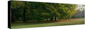 Park with Trees Munich Germany-null-Stretched Canvas