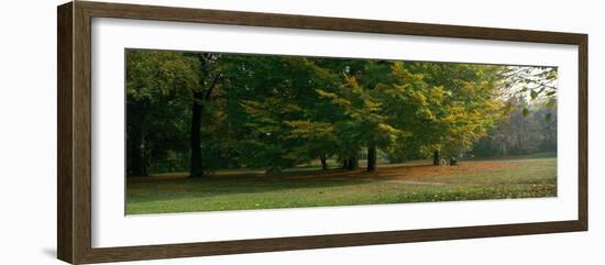 Park with Trees Munich Germany-null-Framed Photographic Print