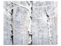 Birch Forest Winter-Parker Greenfield-Art Print