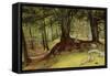 Parkhurst Woods, Abinger, Surrey-Richard Redgrave-Framed Stretched Canvas