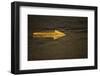 Parking Arrow at Pike Place Market-null-Framed Photographic Print