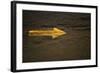 Parking Arrow at Pike Place Market-null-Framed Photographic Print