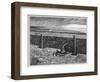 Parkins's Dream of the Thing on the Sea-Shore-James Mcbryde-Framed Photographic Print