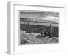 Parkins's Dream of the Thing on the Sea-Shore-James Mcbryde-Framed Photographic Print