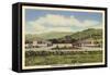 Parkrose Motel, Roseburg-null-Framed Stretched Canvas