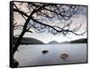 Parks Acadia-Robert F. Bukaty-Framed Stretched Canvas