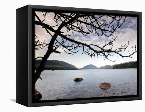 Parks Acadia-Robert F. Bukaty-Framed Stretched Canvas