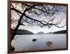 Parks Acadia-Robert F. Bukaty-Framed Photographic Print