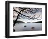 Parks Acadia-Robert F. Bukaty-Framed Photographic Print