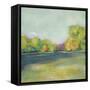 Parkview I-Chariklia Zarris-Framed Stretched Canvas