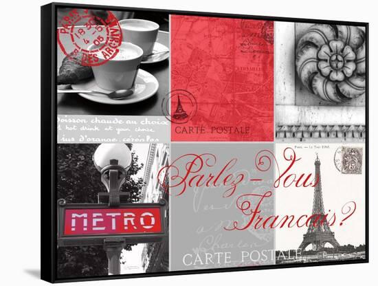 Parlez-Vous Francais-Cameron Duprais-Framed Stretched Canvas