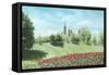 Parliament Building and Tulips - Ottawa-Kevin Dodds-Framed Stretched Canvas