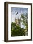 Parliament Building in National Heroes Square, Bridgetown, St. Michael, Barbados, West Indies, Cari-Frank Fell-Framed Photographic Print