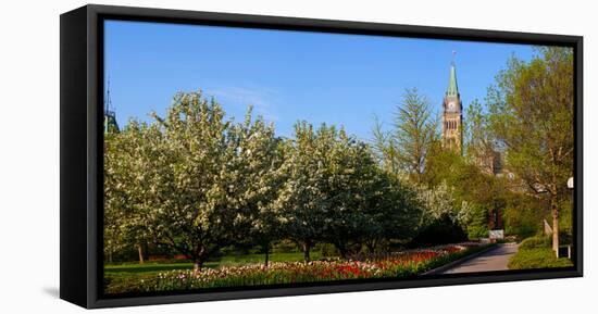 Parliament Building seen from a garden, Parliament Hill, Ottawa, Ontario, Canada-null-Framed Stretched Canvas