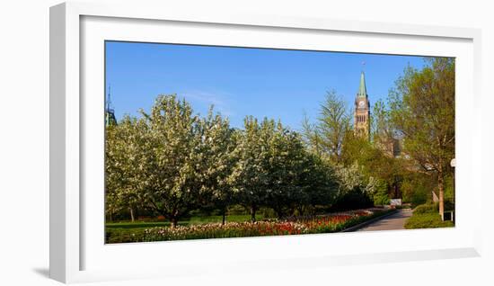 Parliament Building seen from a garden, Parliament Hill, Ottawa, Ontario, Canada-null-Framed Photographic Print