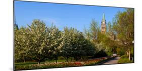 Parliament Building seen from a garden, Parliament Hill, Ottawa, Ontario, Canada-null-Mounted Photographic Print