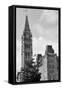 Parliament Hill Building in Black and White in Ottawa, Canada-Songquan Deng-Framed Stretched Canvas