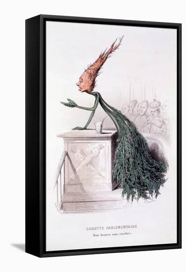 Parliamentary Carrot, Illustration from 'L'Empire Des Legumes Memoires De Curcubitus', Published…-Amedee Varin-Framed Stretched Canvas