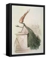 Parliamentary Carrot-Amedee Varin-Framed Stretched Canvas