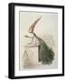 Parliamentary Carrot-Amedee Varin-Framed Giclee Print