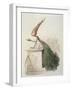 Parliamentary Carrot-Amedee Varin-Framed Giclee Print