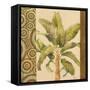 Parlor Palm I-Paul Brent-Framed Stretched Canvas