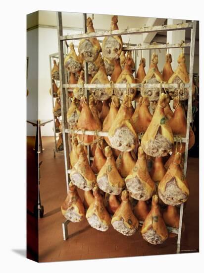 Parma Hams on Curing Racks, Near Pavullo, Emilia-Romagna, Italy-Ian Griffiths-Stretched Canvas