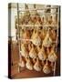 Parma Hams on Curing Racks, Near Pavullo, Emilia-Romagna, Italy-Ian Griffiths-Stretched Canvas