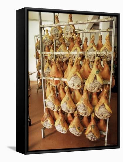 Parma Hams on Curing Racks, Near Pavullo, Emilia-Romagna, Italy-Ian Griffiths-Framed Stretched Canvas