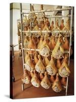 Parma Hams on Curing Racks, Near Pavullo, Emilia-Romagna, Italy-Ian Griffiths-Stretched Canvas