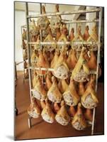 Parma Hams on Curing Racks, Near Pavullo, Emilia-Romagna, Italy-Ian Griffiths-Mounted Photographic Print