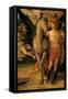 Parnassus-Andrea Mantegna-Framed Stretched Canvas