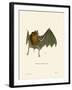 Parnell's Mustached Bat-null-Framed Giclee Print