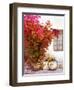 Paros, Greece-Alan Klug-Framed Photographic Print