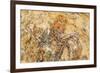 Parowan Gap Dinosaur Tracks and Remains, Iron County, Utah, United States of America, North America-Richard Cummins-Framed Photographic Print