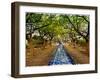 Parque Das Nacoes. Lisbon, Portugal-Mauricio Abreu-Framed Photographic Print