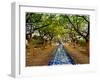 Parque Das Nacoes. Lisbon, Portugal-Mauricio Abreu-Framed Photographic Print