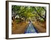 Parque Das Nacoes. Lisbon, Portugal-Mauricio Abreu-Framed Photographic Print