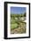 Parque del Buen Retiro, Madrid, Spain, Europe-Markus Lange-Framed Photographic Print