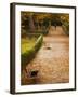 Parque Del Buen Retiro, Madrid, Spain-Walter Bibikow-Framed Photographic Print