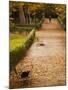 Parque Del Buen Retiro, Madrid, Spain-Walter Bibikow-Mounted Photographic Print