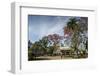 Parque Libertad, Matanzas, Cuba, West Indies, Caribbean, Central America-Yadid Levy-Framed Photographic Print