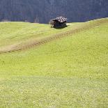 Mountain Cabin-Parque-Mounted Photographic Print