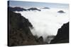 Parque Nacional De La Caldera De Taburiente, La Palma, Canary Islands, Spain, 2009-Peter Thompson-Stretched Canvas