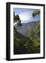 Parque Nacional De La Caldera De Taburiente, La Palma, Canary Islands, Spain, 2009-Peter Thompson-Framed Photographic Print