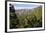 Parque Nacional De La Caldera De Taburiente, La Palma, Canary Islands, Spain, 2009-Peter Thompson-Framed Photographic Print