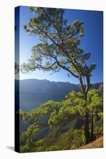 Parque Nacional De La Caldera De Taburiente, Mirador De Las Chozas, La Palma, Canaries, Spain-Katja Kreder-Stretched Canvas