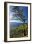 Parque Nacional De La Caldera De Taburiente, Mirador De Las Chozas, La Palma, Canaries, Spain-Katja Kreder-Framed Photographic Print