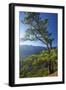 Parque Nacional De La Caldera De Taburiente, Mirador De Las Chozas, La Palma, Canaries, Spain-Katja Kreder-Framed Photographic Print