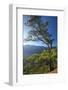 Parque Nacional De La Caldera De Taburiente, Mirador De Las Chozas, La Palma, Canaries, Spain-Katja Kreder-Framed Photographic Print